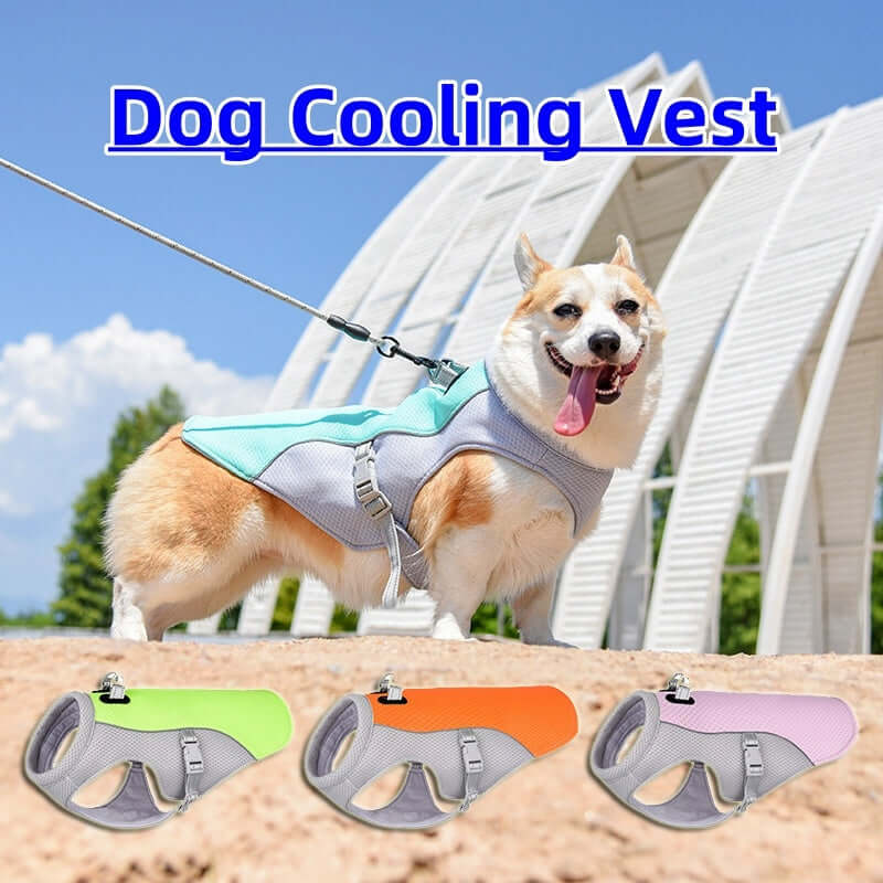 Summer Dog Cooling Vest