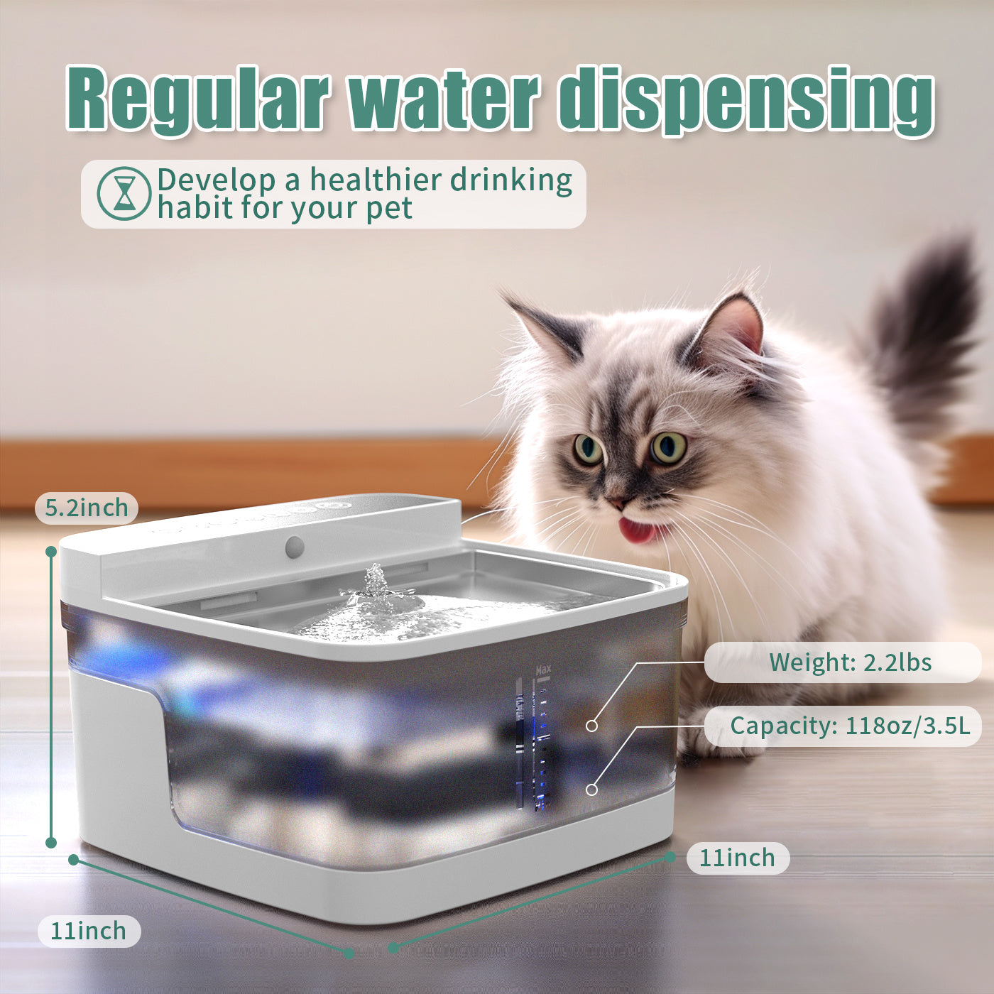 Pet Water Dispenser for Dogs & Cats